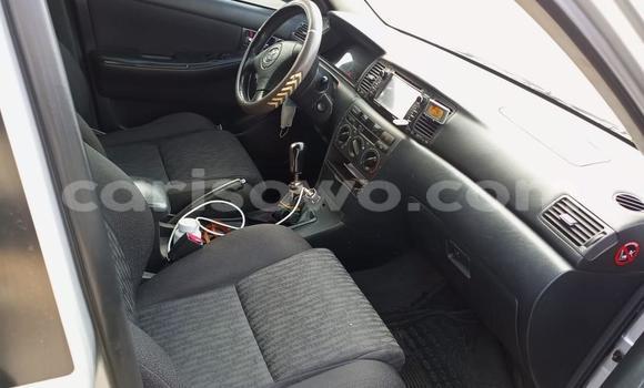 Acheter Occasion Voiture Toyota Corolla Gris à Cotonou, Benin Acheter Occasion Voiture Toyota Corolla Gris à Cotonou, Benin