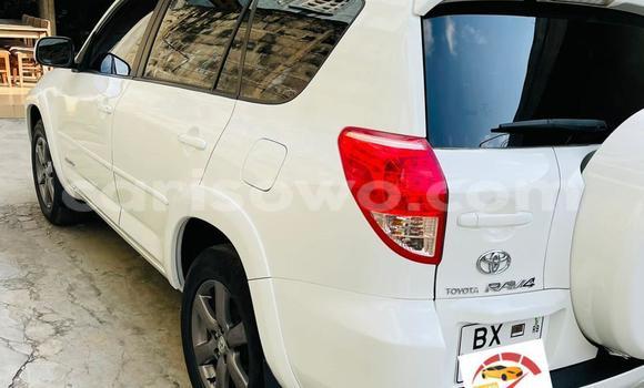 Buy Used Toyota RAV4 White Car in Cotonou in Benign
