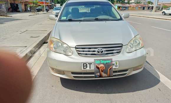 Ra Àlòkù Toyota Corolla Silver Ọkọ̀ in Cotonou ni Benin