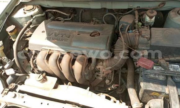 Ra Àlòkù Toyota Corolla Silver Ọkọ̀ in Cotonou ni Benin Ra Àlòkù Toyota Corolla Silver Ọkọ̀ in Cotonou ni Benin