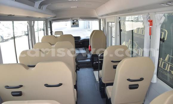 Acheter Import Utilitaire Toyota Coaster Blanc à Abomey Calavi, Benin Acheter Import Utilitaire Toyota Coaster Blanc à Abomey Calavi, Benin