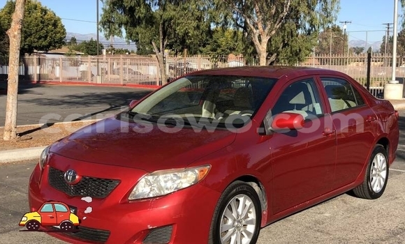 Acheter Import Voiture Toyota Corolla Rouge à Cotonou, Benin Acheter Import Voiture Toyota Corolla Rouge à Cotonou, Benin