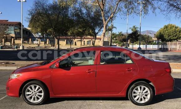 Acheter Import Voiture Toyota Corolla Rouge à Cotonou, Benin Acheter Import Voiture Toyota Corolla Rouge à Cotonou, Benin