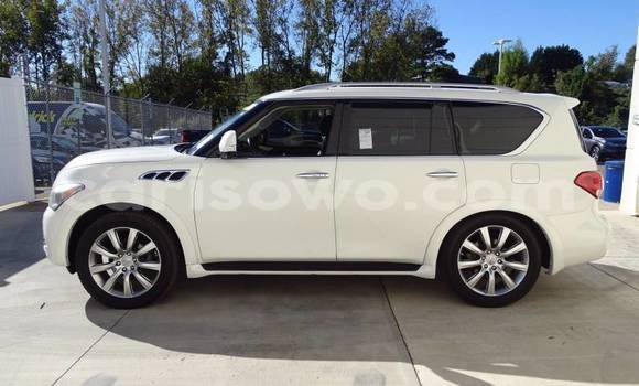 Acheter Import Voiture Infiniti QX56 Blanc à Porto Novo, Benin Acheter Import Voiture Infiniti QX56 Blanc à Porto Novo, Benin