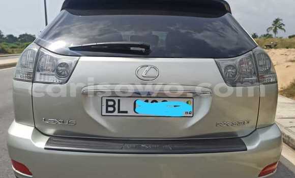 Sayi Na hannu Lexus RX 330 Azurfa Mota in Cotonou a Benin