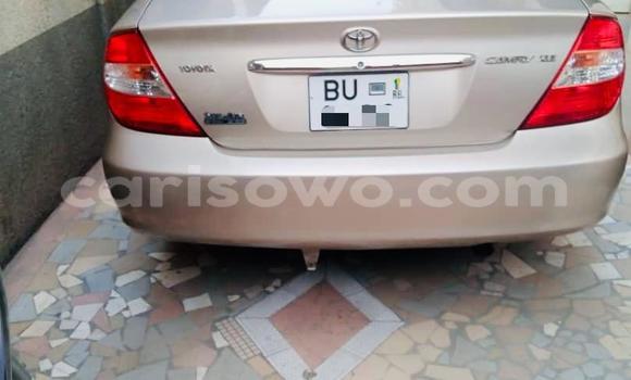 Acheter Occasion Voiture Toyota Camry Gris à Cotonou, Benin