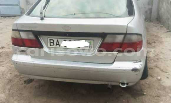 Acheter Occasion Voiture Nissan Primera Gris à Cotonou, Benin Acheter Occasion Voiture Nissan Primera Gris à Cotonou, Benin