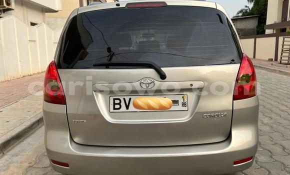 Acheter Occasion Voiture Toyota Corolla Gris à Cotonou, Benin