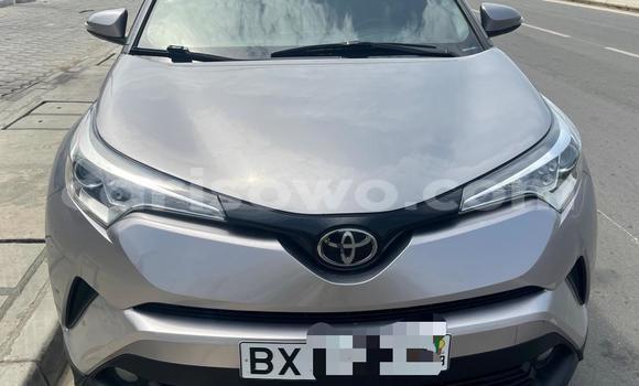 Acheter Occasion Voiture Toyota C-HR Gris à Cotonou, Benin