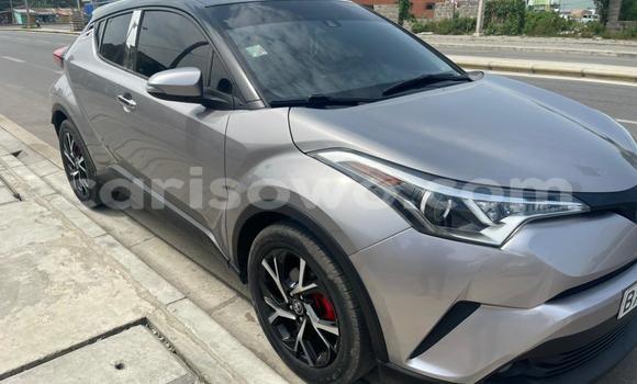 Sayi Na hannu Toyota C-HR Azurfa Mota in Cotonou a Benin Sayi Na hannu Toyota C-HR Azurfa Mota in Cotonou a Benin