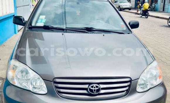 Buy New Toyota Corolla Other Car in Cotonou in Benign