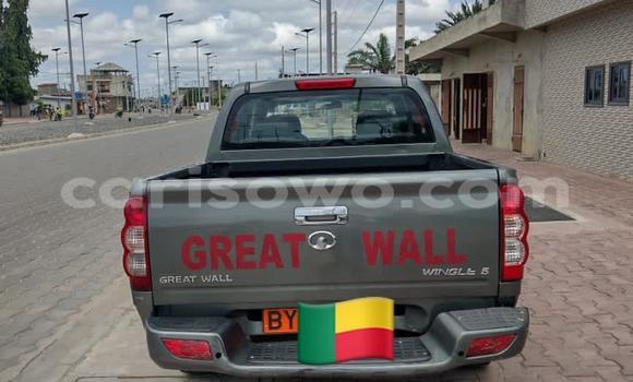 Ra Àlòkù Great Wall Wingle Silver Ọkọ̀ in Cotonou ni Benin