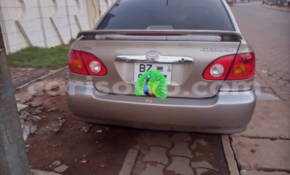 Buy Used Toyota Corolla Other Car in Porto Novo in Benign