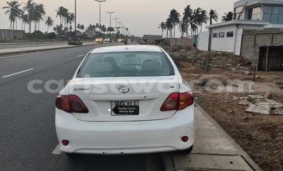 Buy Used Toyota Corolla White Car in Cotonou in Benign