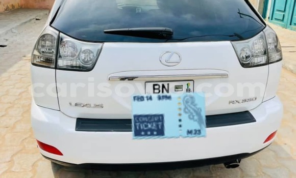 Sayi Na hannu Lexus RX 330 White Mota in Cotonou a Benin