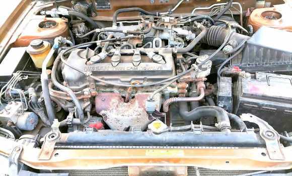 Ra Àlòkù Nissan Primera Miiran Ọkọ̀ in Cotonou ni Benin Ra Àlòkù Nissan Primera Miiran Ọkọ̀ in Cotonou ni Benin