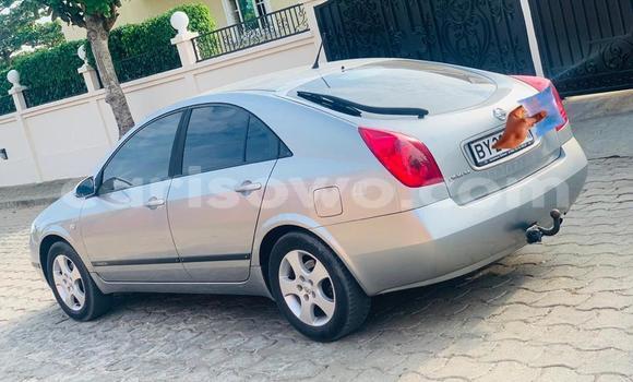 Buy Used Nissan Primera Silver Car in Cotonou in Benign Buy Used Nissan Primera Silver Car in Cotonou in Benign