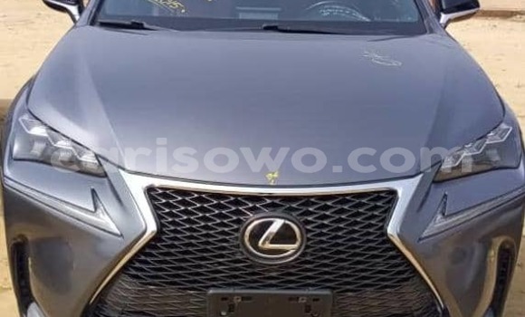 Ra Imported Lexus NX Miiran Ọkọ̀ in Cotonou ni Benin