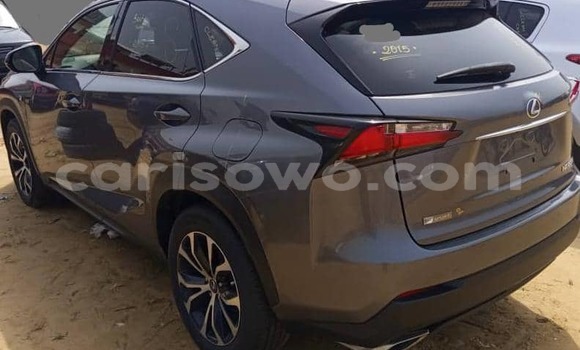 Sayi Imported Lexus NX Sauran Mota in Cotonou a Benin Sayi Imported Lexus NX Sauran Mota in Cotonou a Benin