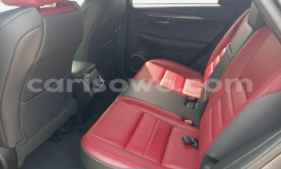 Sayi Imported Lexus NX Sauran Mota in Cotonou a Benin Sayi Imported Lexus NX Sauran Mota in Cotonou a Benin