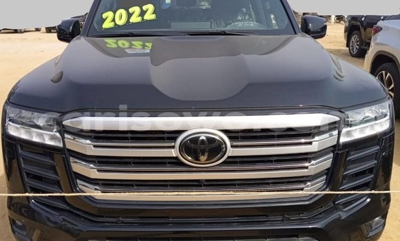 Buy New Toyota Land Cruiser Black Car in Cotonou in Benign