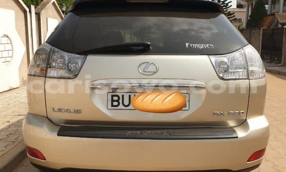 Sayi Na hannu Lexus RX 330 Sauran Mota in Cotonou a Benin