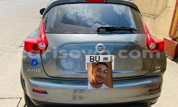 Acheter Occasion Voiture Nissan Juke Gris à Cotonou, Benin