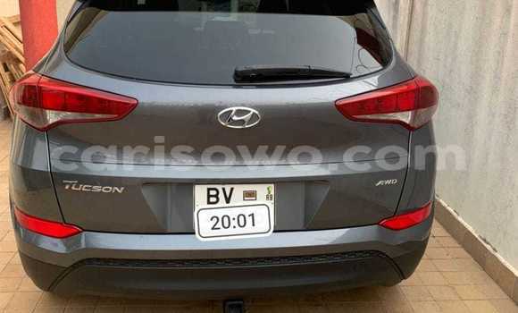 Buy Used Hyundai Tucson Silver Car in Cotonou in Benign Buy Used Hyundai Tucson Silver Car in Cotonou in Benign