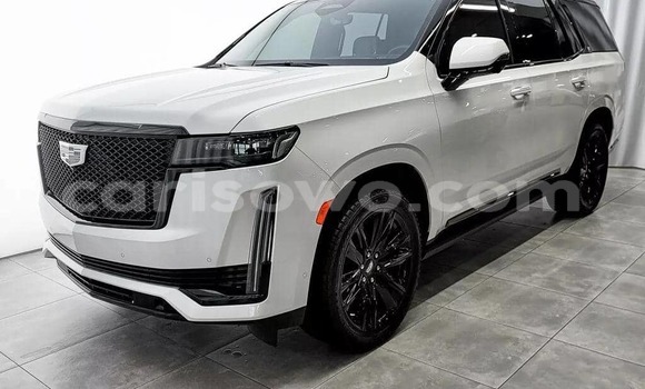 Acheter Neuf Voiture Cadillac Escalade Blanc à Cotonou, Benin Acheter Neuf Voiture Cadillac Escalade Blanc à Cotonou, Benin