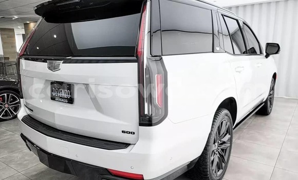 Acheter Neuf Voiture Cadillac Escalade Blanc à Cotonou, Benin Acheter Neuf Voiture Cadillac Escalade Blanc à Cotonou, Benin