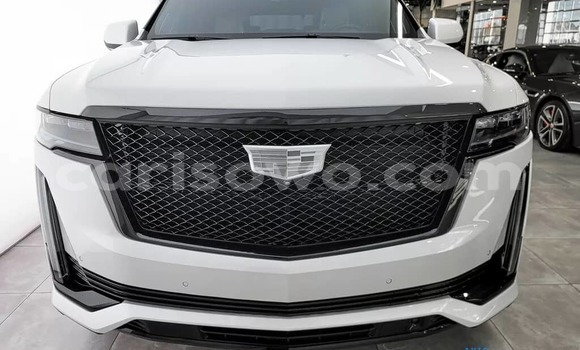 Acheter Neuf Voiture Cadillac Escalade Blanc à Cotonou, Benin Acheter Neuf Voiture Cadillac Escalade Blanc à Cotonou, Benin