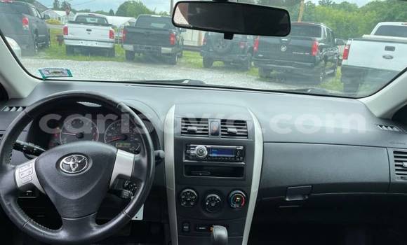 Acheter Import Voiture Toyota Corolla Blanc à Abomey, Benin Acheter Import Voiture Toyota Corolla Blanc à Abomey, Benin