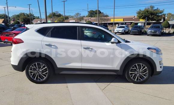 Acheter Import Voiture Hyundai Tucson Blanc à Cotonou, Benin Acheter Import Voiture Hyundai Tucson Blanc à Cotonou, Benin