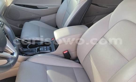 Acheter Import Voiture Hyundai Tucson Blanc à Cotonou, Benin Acheter Import Voiture Hyundai Tucson Blanc à Cotonou, Benin