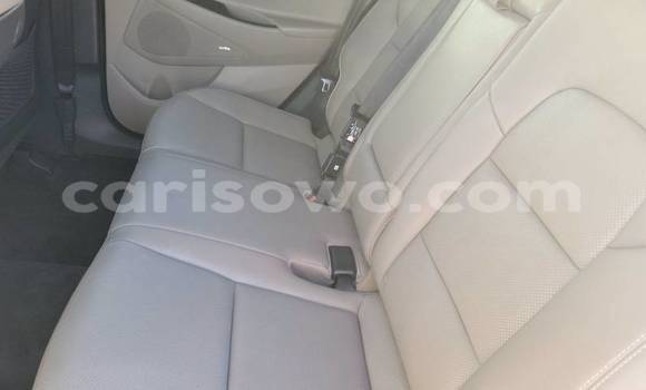 Acheter Import Voiture Hyundai Tucson Blanc à Cotonou, Benin Acheter Import Voiture Hyundai Tucson Blanc à Cotonou, Benin
