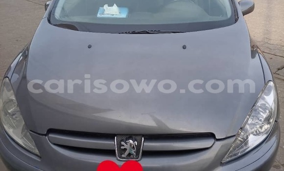 Acheter Occasion Voiture Peugeot 307 Gris à Cotonou, Benin