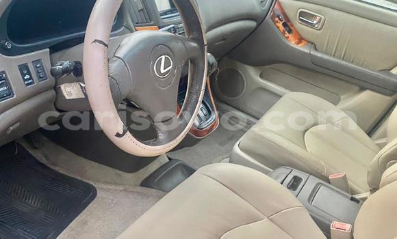 Acheter Occasion Voiture Lexus RX 300 Gris à Abomey Calavi, Benin Acheter Occasion Voiture Lexus RX 300 Gris à Abomey Calavi, Benin