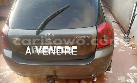 Acheter Occasion Voiture Toyota Corolla II Gris à Abomey Calavi, Benin