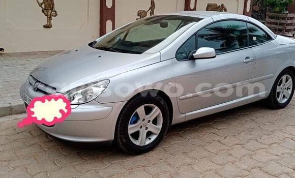 Buy Used Peugeot 307 Silver Car in Porto Novo in Benign Buy Used Peugeot 307 Silver Car in Porto Novo in Benign