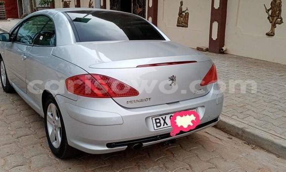 Buy Used Peugeot 307 Silver Car in Porto Novo in Benign Buy Used Peugeot 307 Silver Car in Porto Novo in Benign