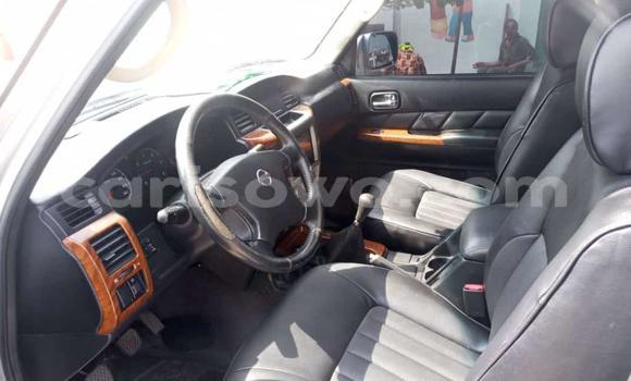 Sayi Na hannu Nissan Patrol Azurfa Mota in Cotonou a Benin Sayi Na hannu Nissan Patrol Azurfa Mota in Cotonou a Benin