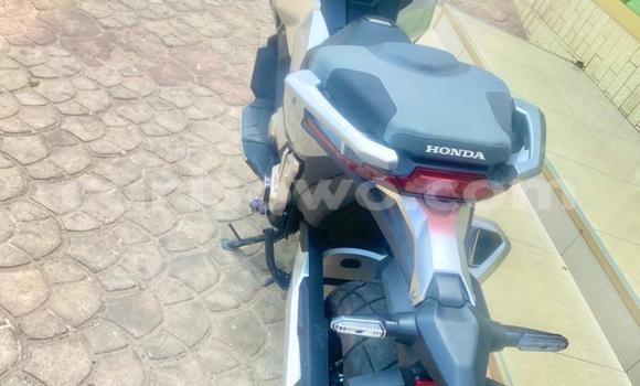Acheter Occasion Moto Honda X-ADV Gris à Abomey Calavi, Benin Acheter Occasion Moto Honda X-ADV Gris à Abomey Calavi, Benin