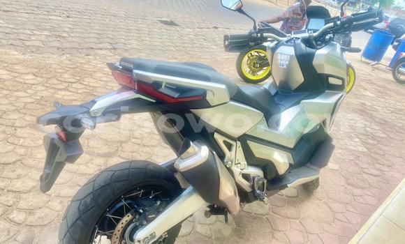 Acheter Occasion Moto Honda X-ADV Gris à Abomey Calavi, Benin Acheter Occasion Moto Honda X-ADV Gris à Abomey Calavi, Benin