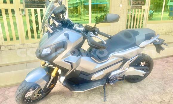 Acheter Occasion Moto Honda X-ADV Gris à Abomey Calavi, Benin Acheter Occasion Moto Honda X-ADV Gris à Abomey Calavi, Benin