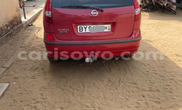 Acheter Occasion Voiture Nissan Tino Rouge à Porto Novo, Benin Acheter Occasion Voiture Nissan Tino Rouge à Porto Novo, Benin