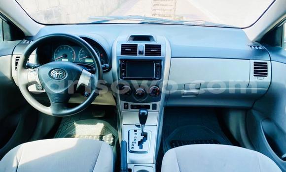 Acheter Occasion Voiture Toyota Corolla Gris à Cotonou, Benin Acheter Occasion Voiture Toyota Corolla Gris à Cotonou, Benin