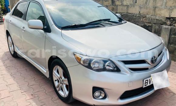 Acheter Occasion Voiture Toyota Corolla Gris à Cotonou, Benin Acheter Occasion Voiture Toyota Corolla Gris à Cotonou, Benin
