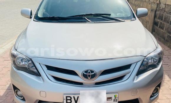 Acheter Occasion Voiture Toyota Corolla Gris à Cotonou, Benin Acheter Occasion Voiture Toyota Corolla Gris à Cotonou, Benin