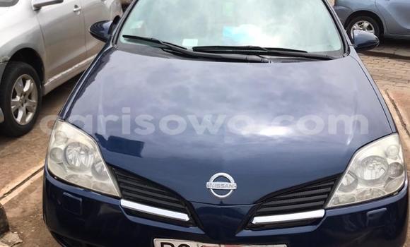 Acheter Occasion Voiture Nissan Primera Bleu à Cotonou, Benin