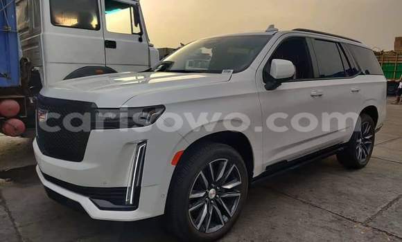 Acheter Occasion Voiture Cadillac Escalade Blanc à Cotonou, Benin Acheter Occasion Voiture Cadillac Escalade Blanc à Cotonou, Benin